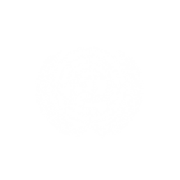 United Nations logo